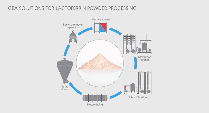 GEA technologies for high-quality milk lactoferrin processing